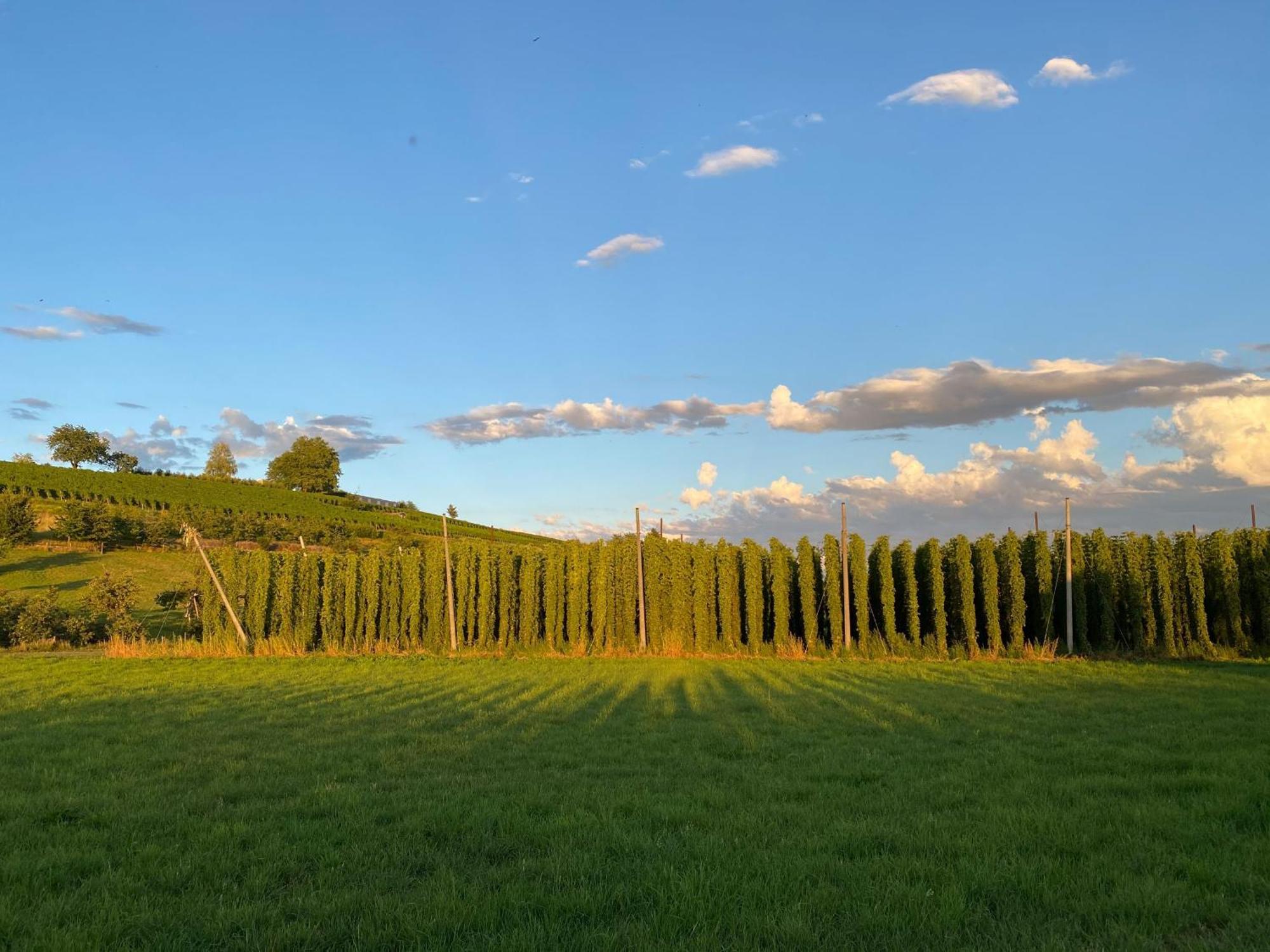 Beim Dorfbach - Die Hofchalets Kressbronn am Bodensee Kültér fotó